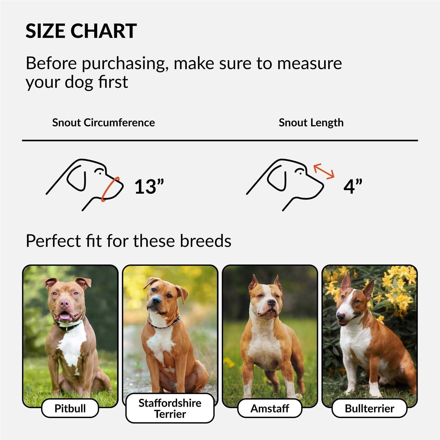 CollarDirect Dog Muzzle Pitbull Amstaff Basket Genuine Leather Staffordshire Terrier - Healthber