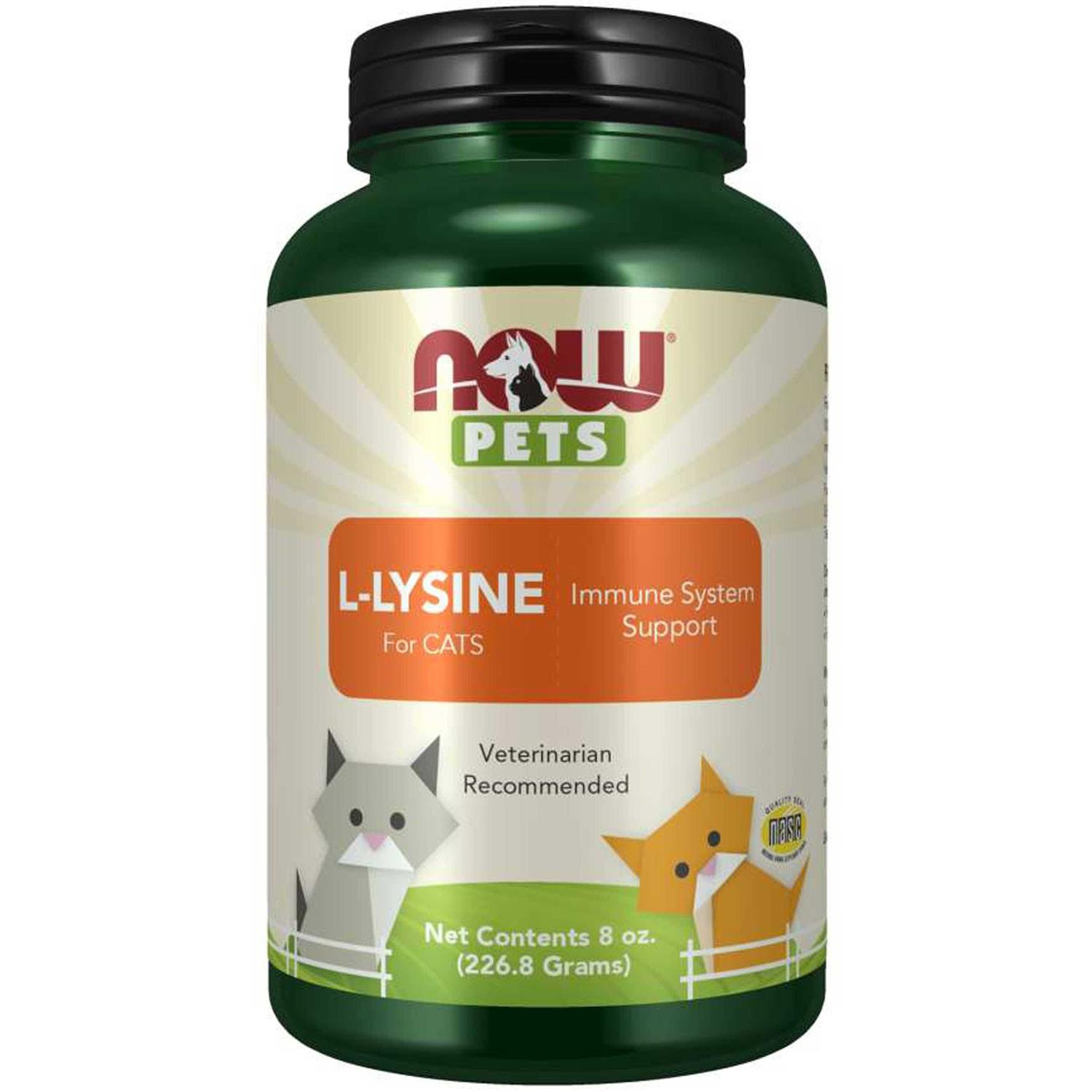 Now Pets L-Lysine Powder for Cats - Healthber