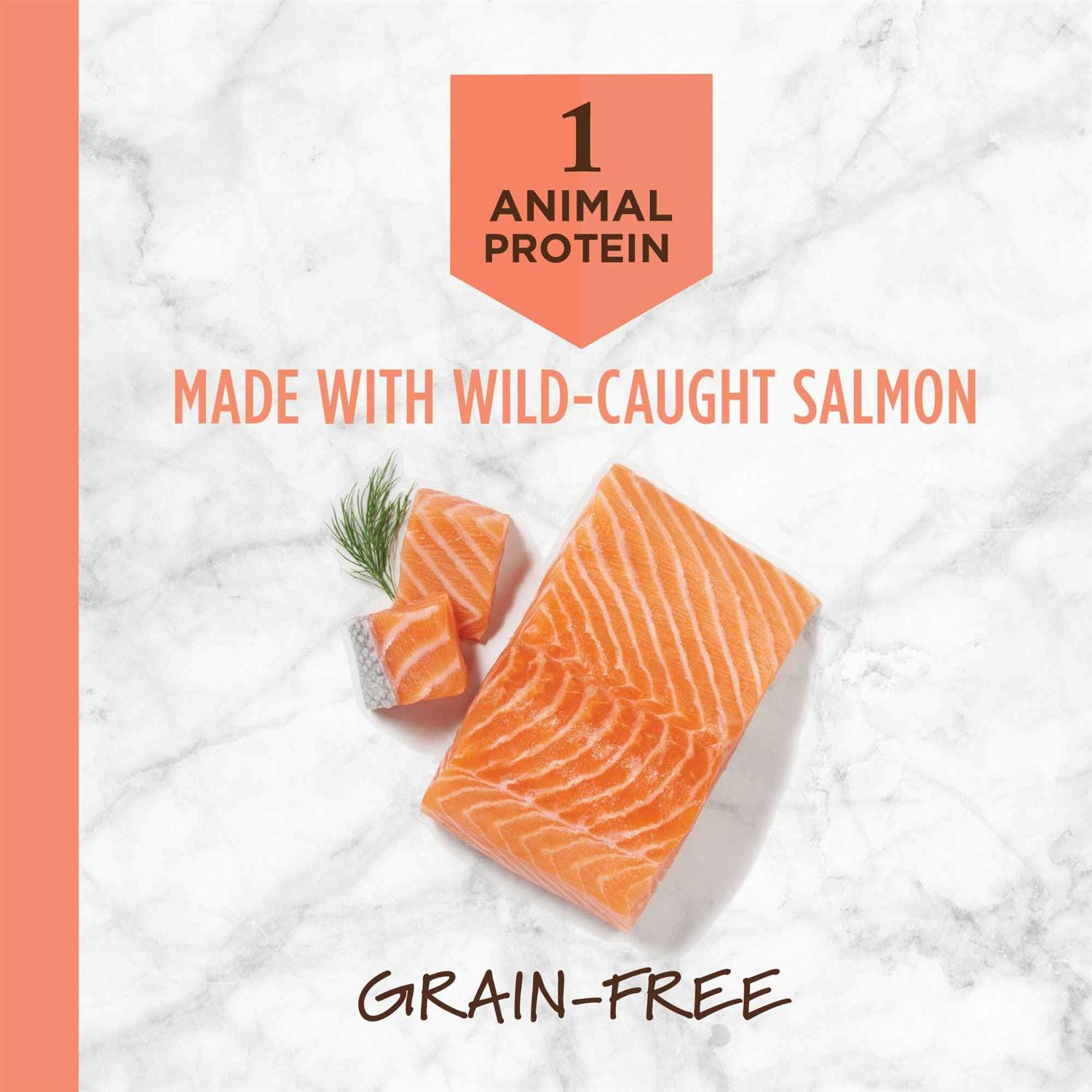 Instinct Limited Ingredient Diet Grain Free Recipe with Real Salmon Dry Cat Food - Healthber