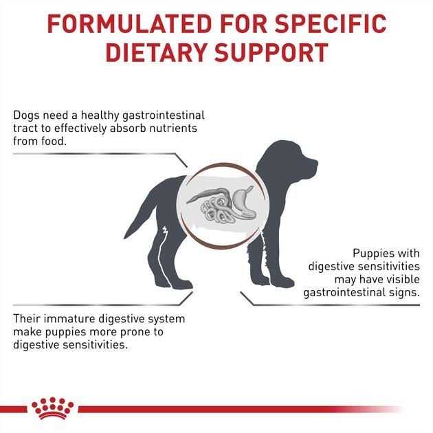 Royal Canin Veterinary Diet Gastrointestinal Puppy Ultra Soft Mousse in Sauce Canned Dog Food - Healthber