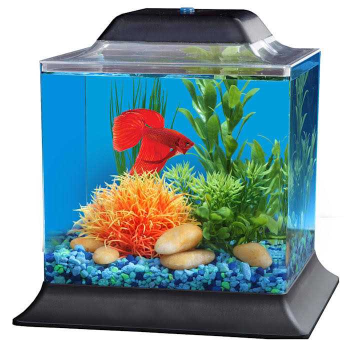 Imagitarium 1.4 Gallon Betta Aquarium - Healthber