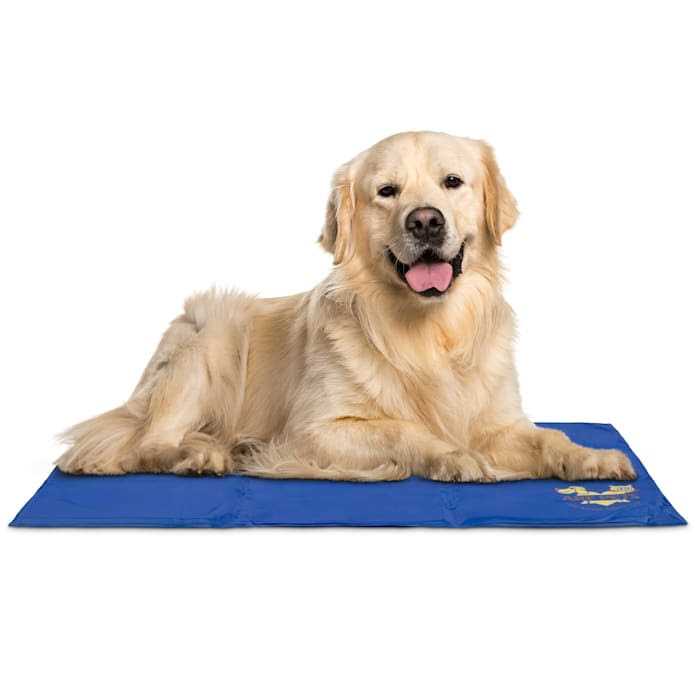 Arf Pets Pet Dog Self Cooling Mat Pad for Kennels Crates and Beds - Healthber