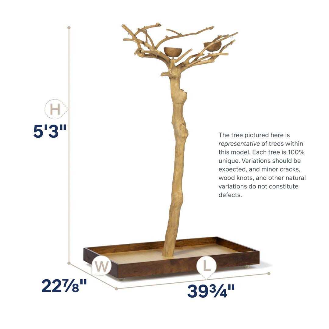 Prevue Pet Products Coffeawood Tree Style #2 Floor Stand Small - Healthber