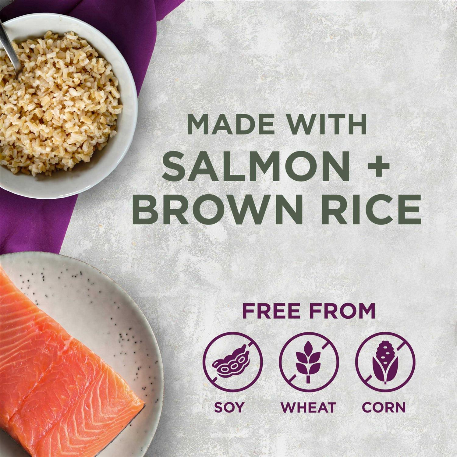 Blackwood Pet Food All Life Stages Special Diet - Healthber