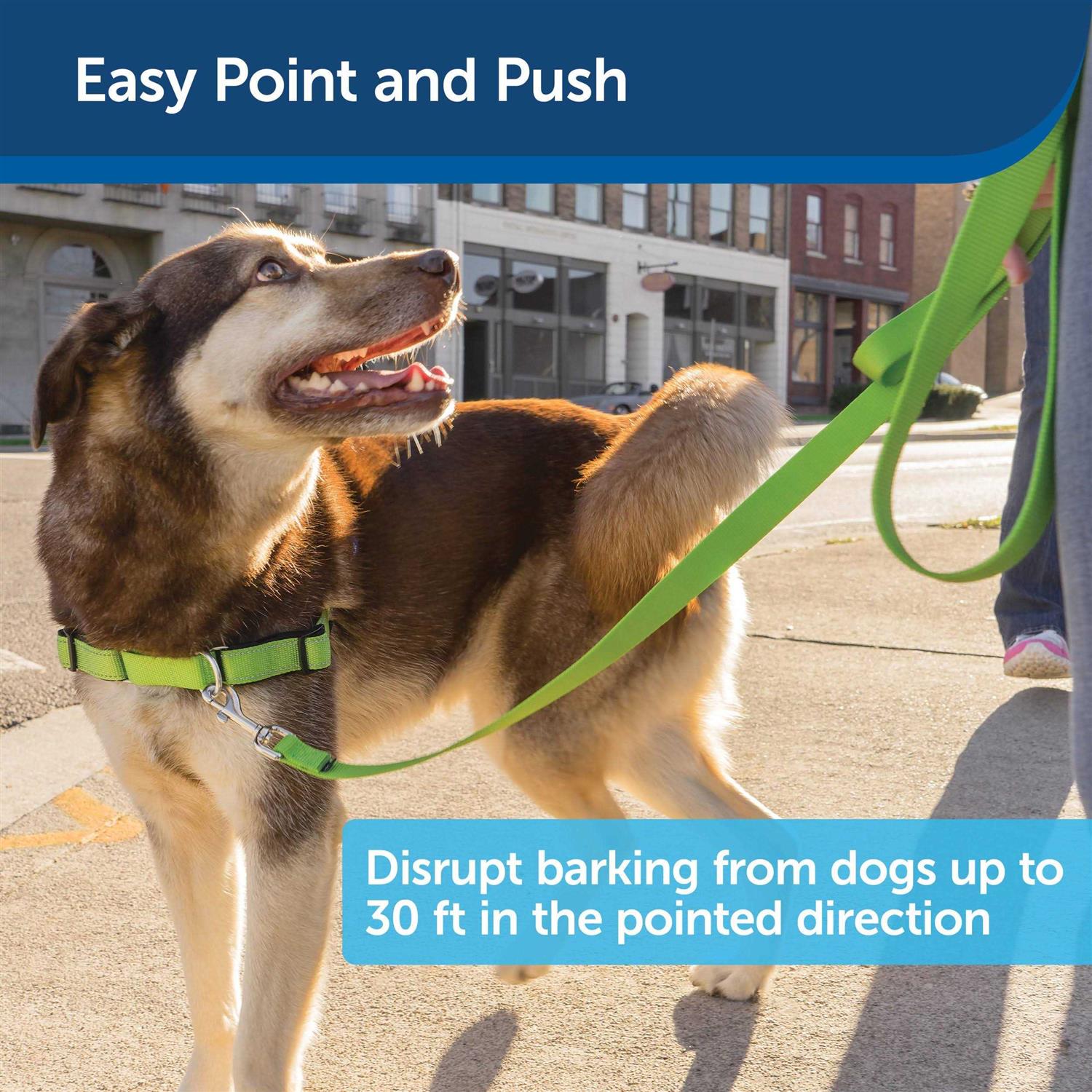 PetSafe Collarless Ultrasonic Remote Dog Trainer - Healthber
