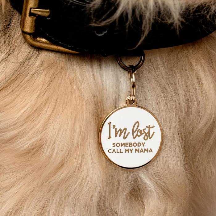 Two Tails Pet Company Gold & White I’m Lost Mama Pet ID Tag - Healthber