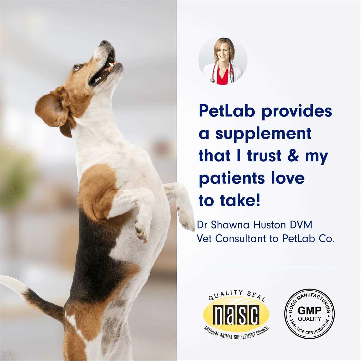 Petlab Co. Dental Sticks Dog Dental Chews -Target Plaque & Tartar Build-Up at The Source - Healthber