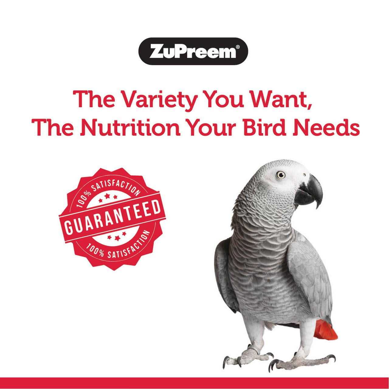 Zupreem FruitBlend Flavor Bird Food - Healthber