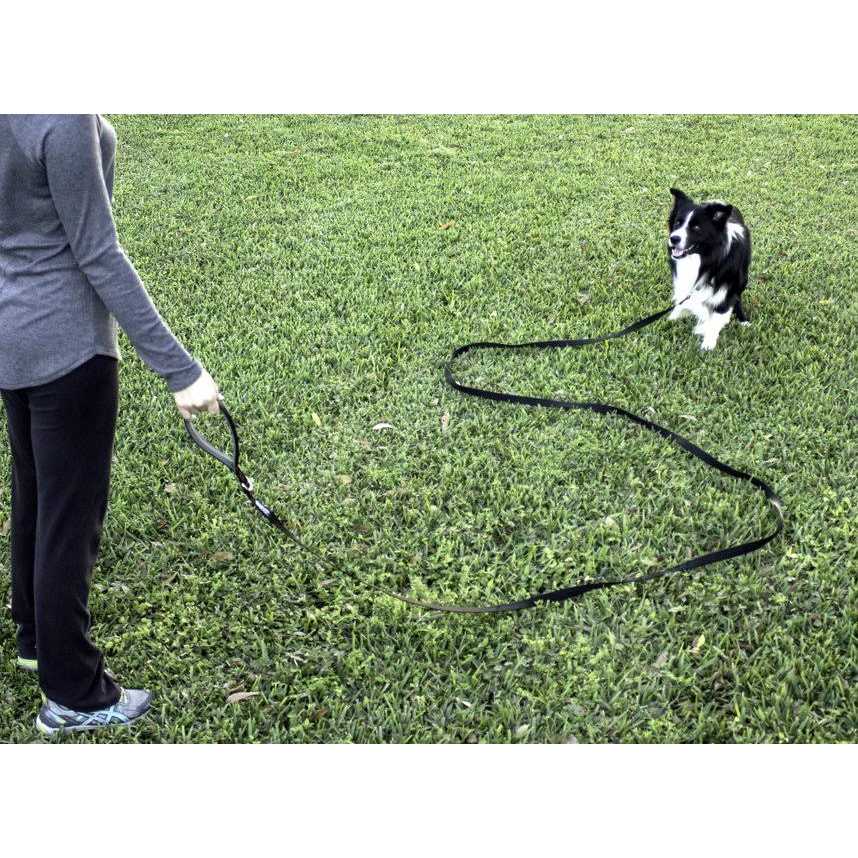 Leashboss 10 Foot Dog Leash with Padded Handle - Healthber