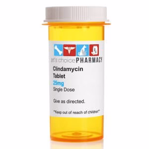 Rx Clindamycin (Generic) Tablets for Dogs - Healthber
