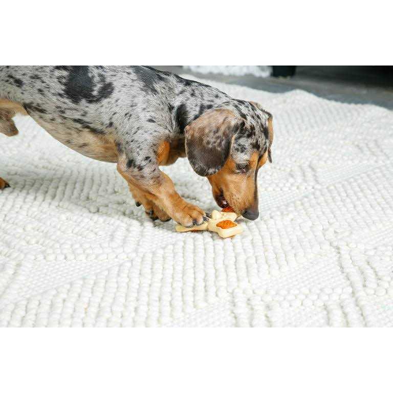 Hartz Chew n Clean Tri-Point Chew Toy - Healthber