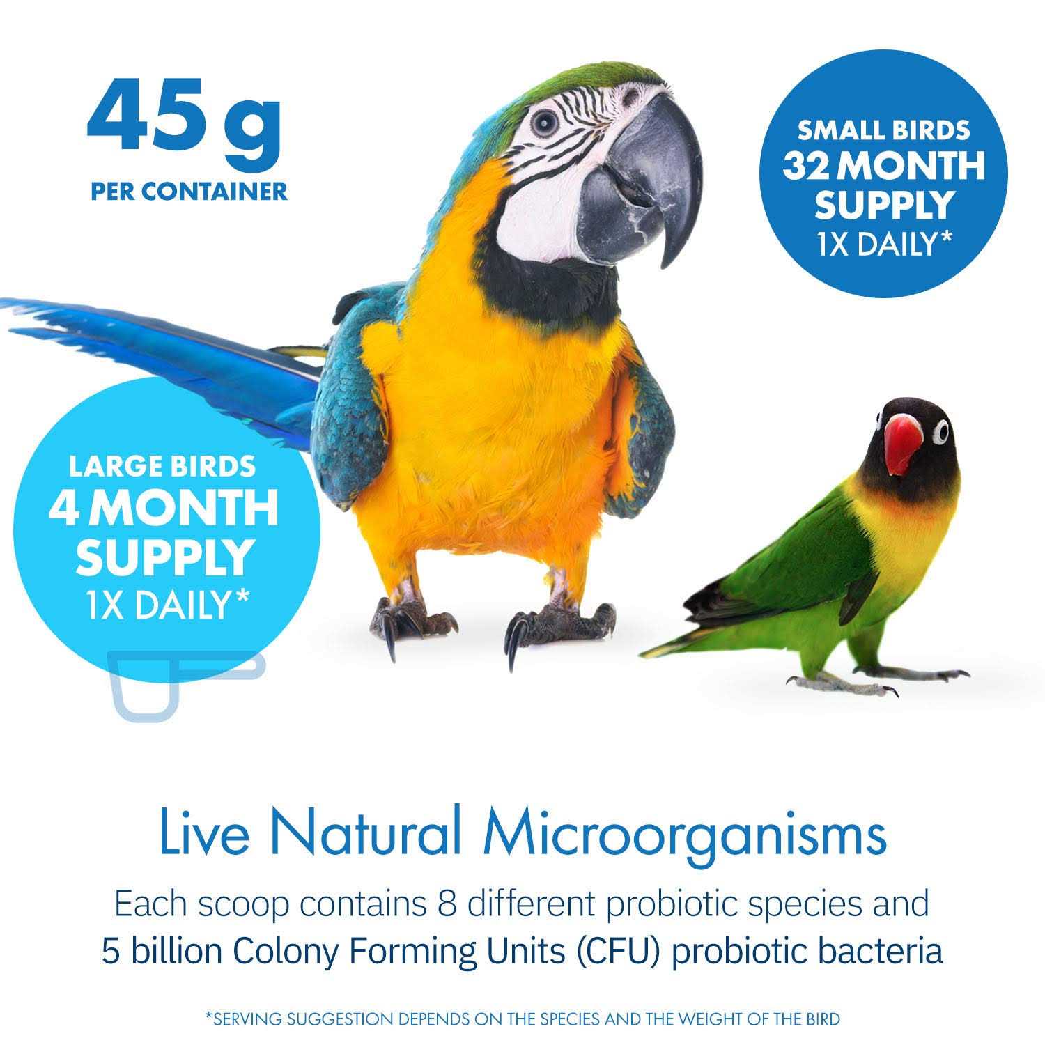 Equa Holistics Avian Probiotics Dietary Supplement for Parrots - Healthber