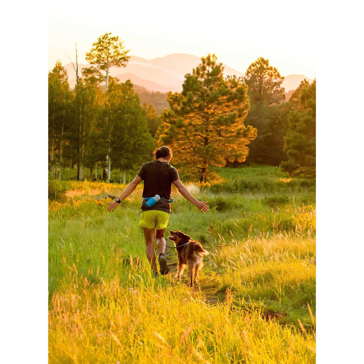 Ruffwear Trail Runner System - Healthber