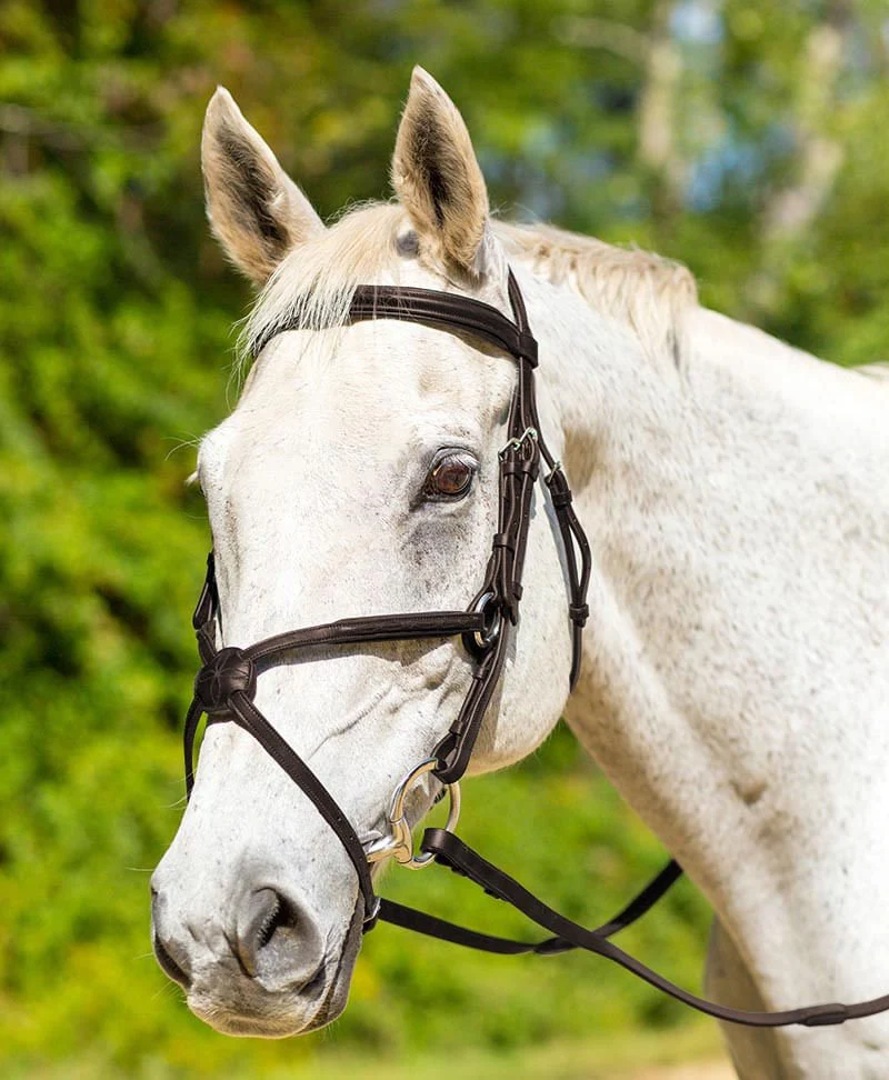 Shires Avignon Woodside Bridle - Healthber