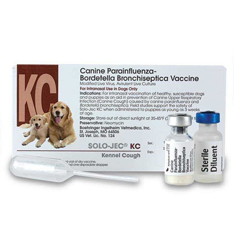 Solo-Jec KC Intranasal Vaccine - Healthber