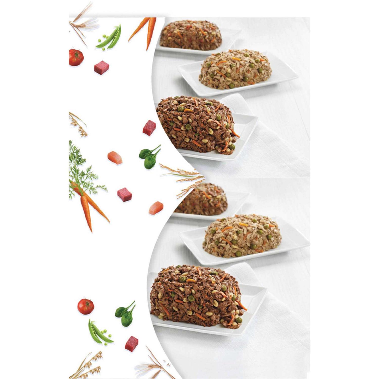 Purina Beneful Chopped Blends Variety Pack Wet Dog Food - Healthber