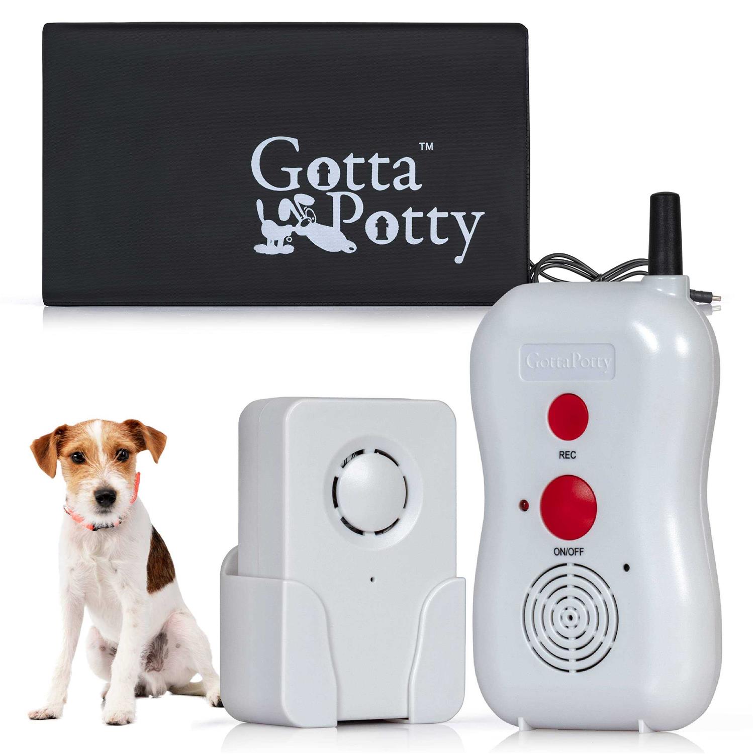 SAFETY VISION The Source Direct Wireless Dog Potty Training System - Healthber