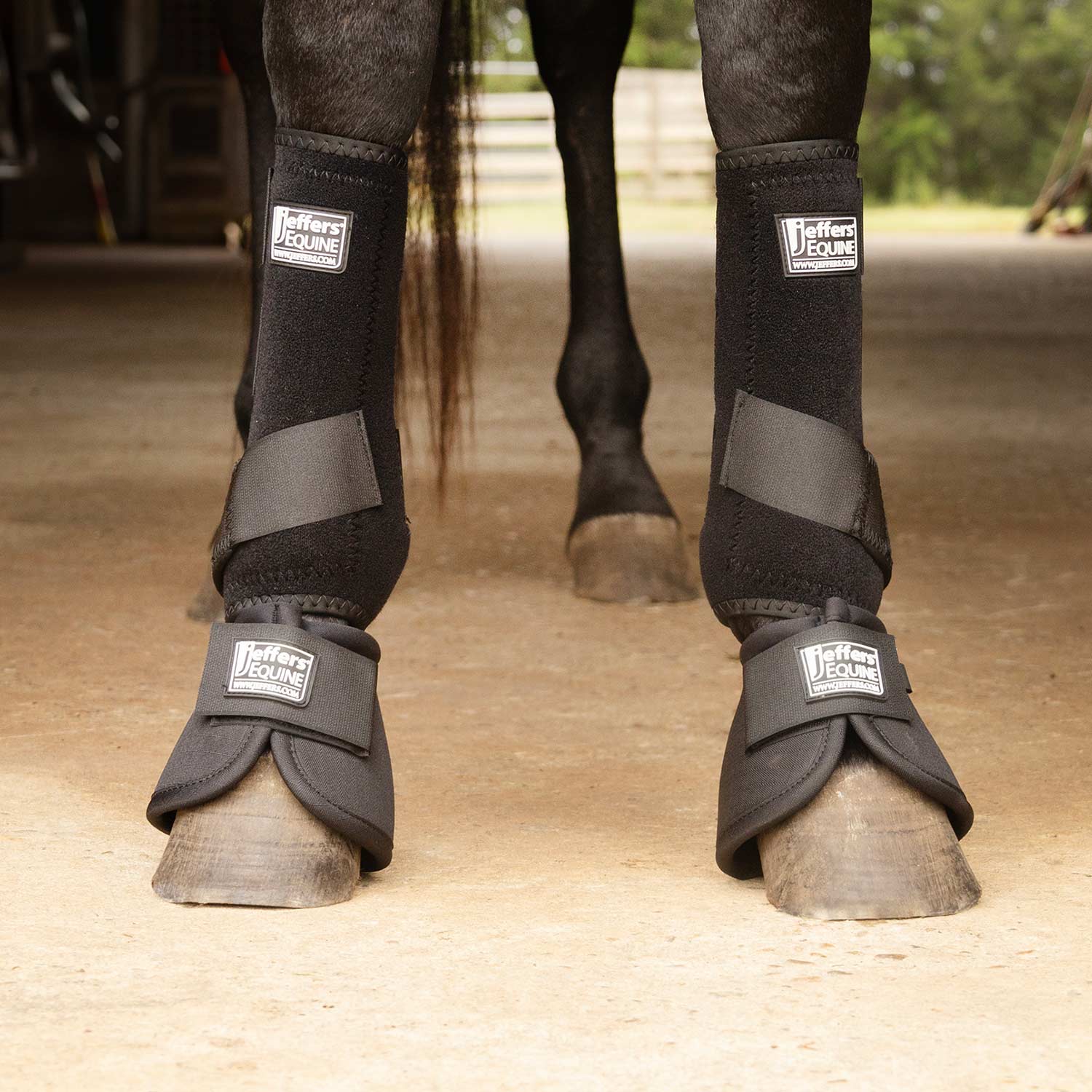 Protective Horse Boots - Healthber