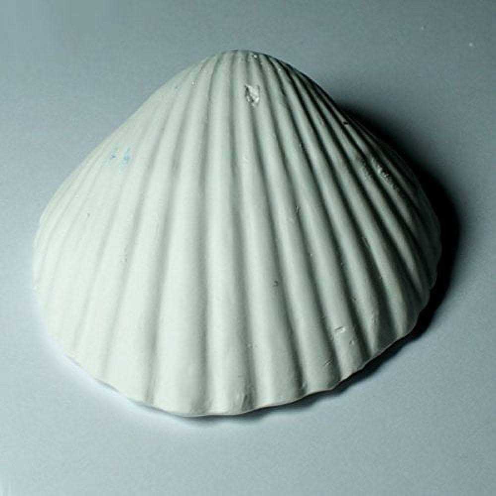 Weco Wonder Shell-Large - Healthber