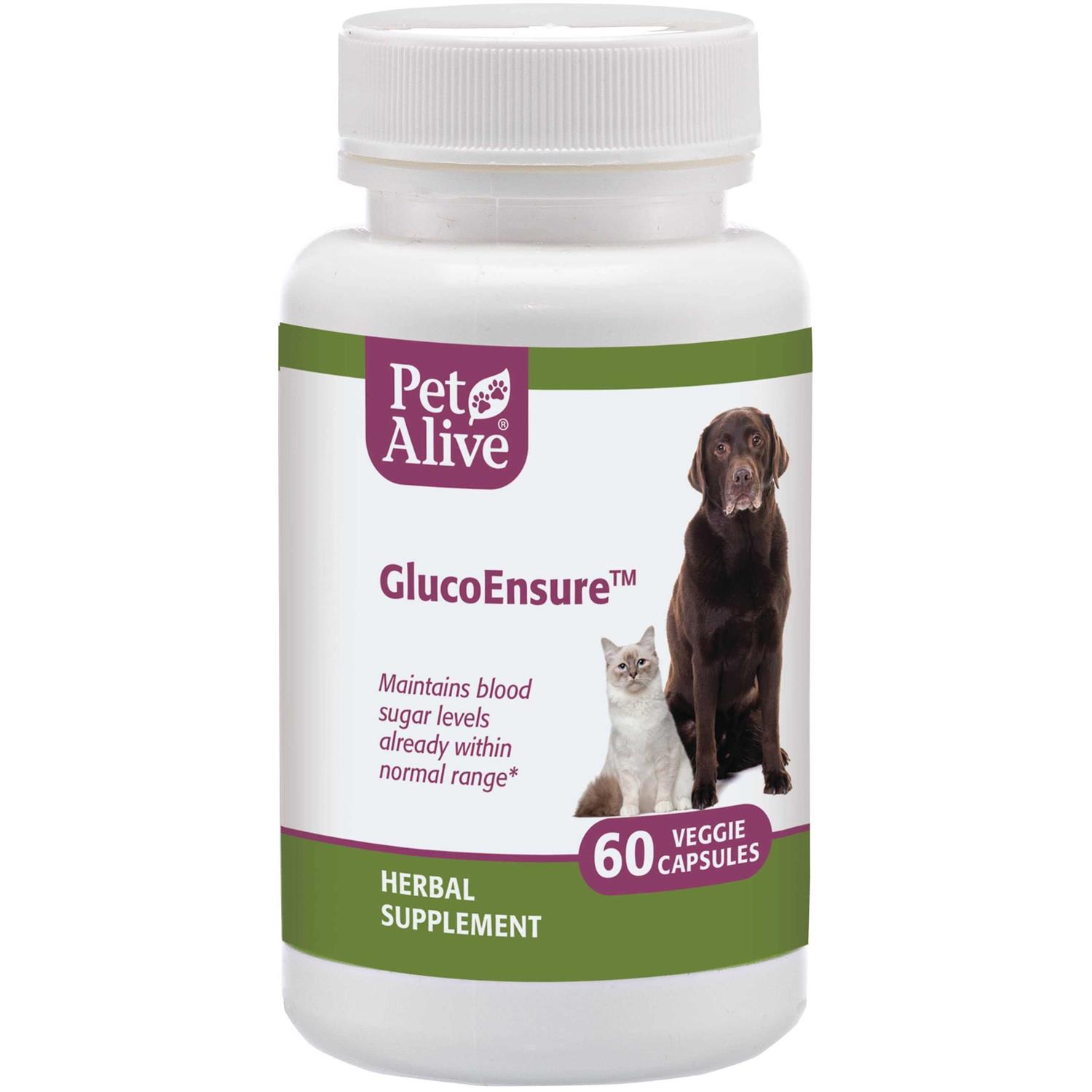PetAlive GlucoEnsure - Healthber