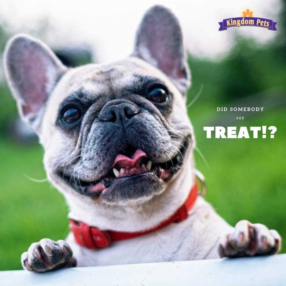 Kingdom Pets Duck & Sweet Potato Jerky Twists - Healthber