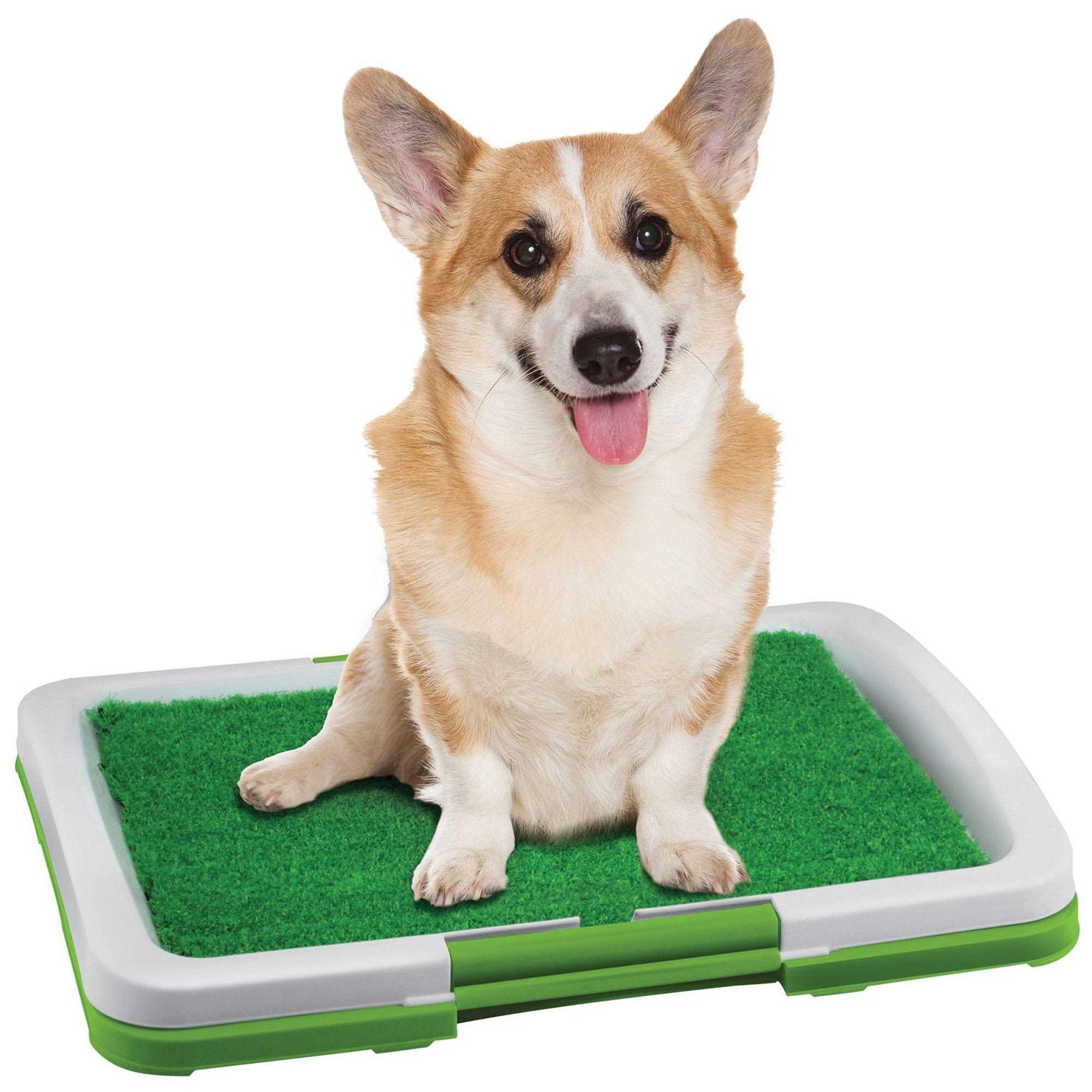 Dog Potty Patch - Healthber