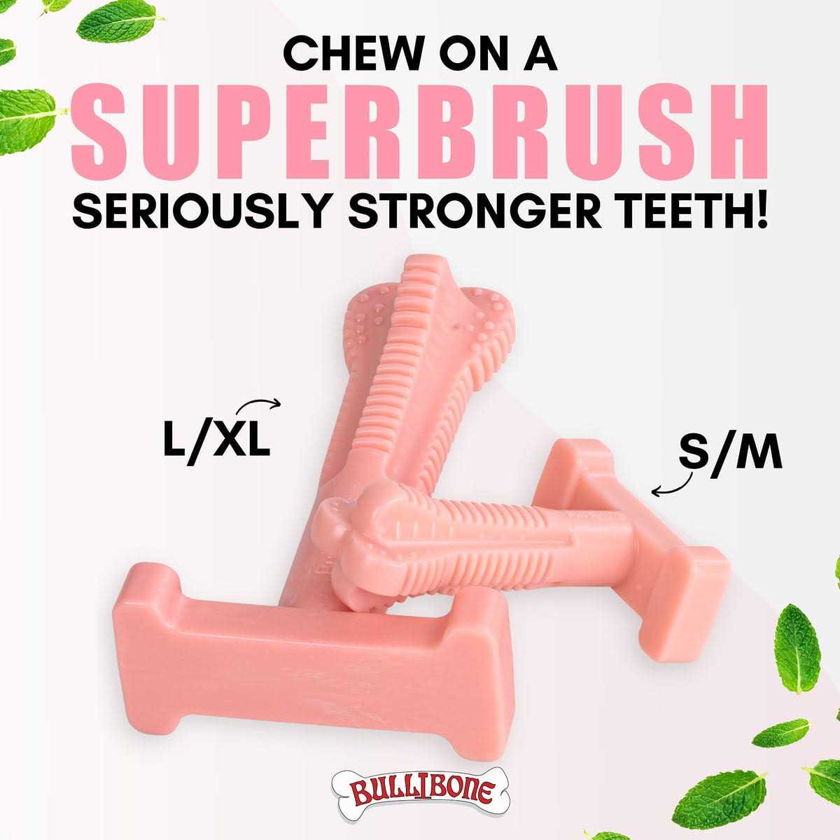 Bullibone SuperBrush Dog Teeth Cleaning Brushing Toothbrush Stick Long Lasting Nylon Chew Toy for Oral Care - Healthber