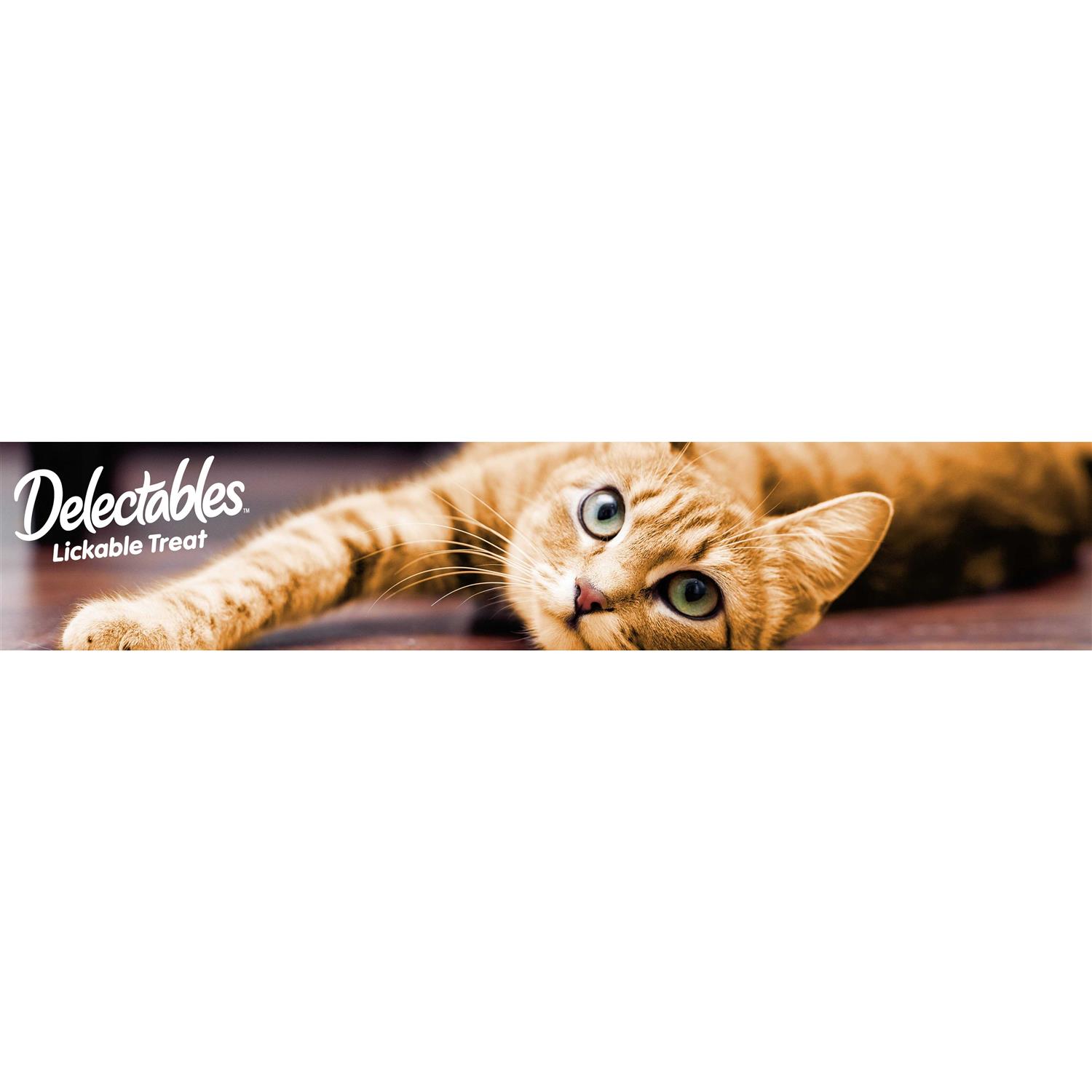 Delectables Lickable Cat - Healthber