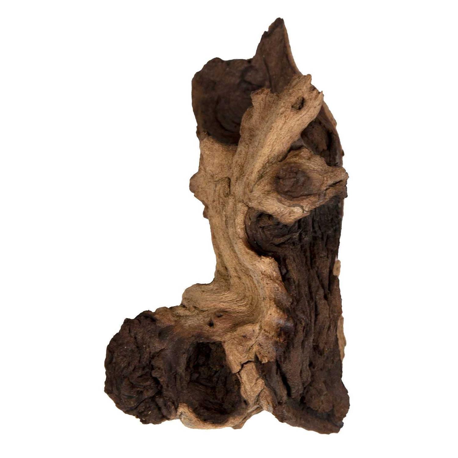 Zoo Med Betta Mopani Wood - Healthber