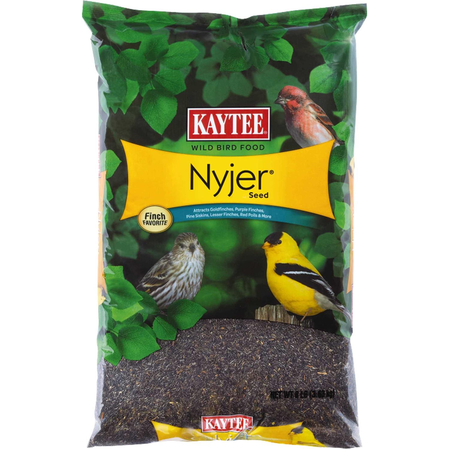 Kaytee Nyjer Seed Wild Bird Food - Healthber