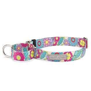 Lucky Love Dog Martingale Collar Premium No Slip Collar Great for Whippets, Greyhounds, and More - Healthber
