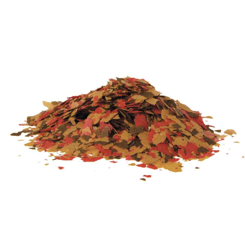 Tetra Large TetraMin Tropical Flakes Fish Food - Healthber