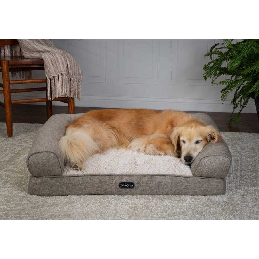 Beautyrest Luxe Lounger Cat & Dog Bed - Healthber
