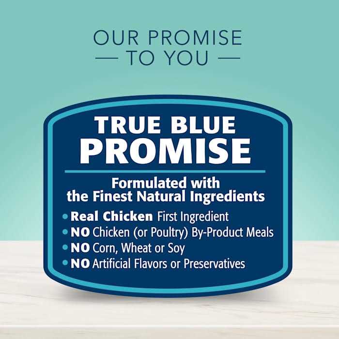 Blue Buffalo True Solutions Small & Mighty Natural Small Breed Adult Wet Dog Food - Healthber