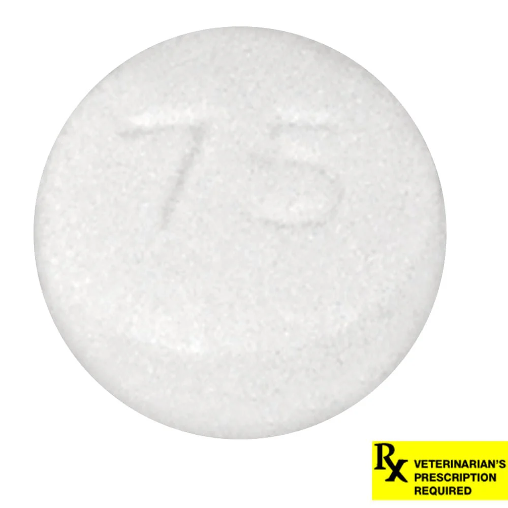 Rx Hydroxyzine HCl (Generic) Tablets for Dogs & Cats - Healthber
