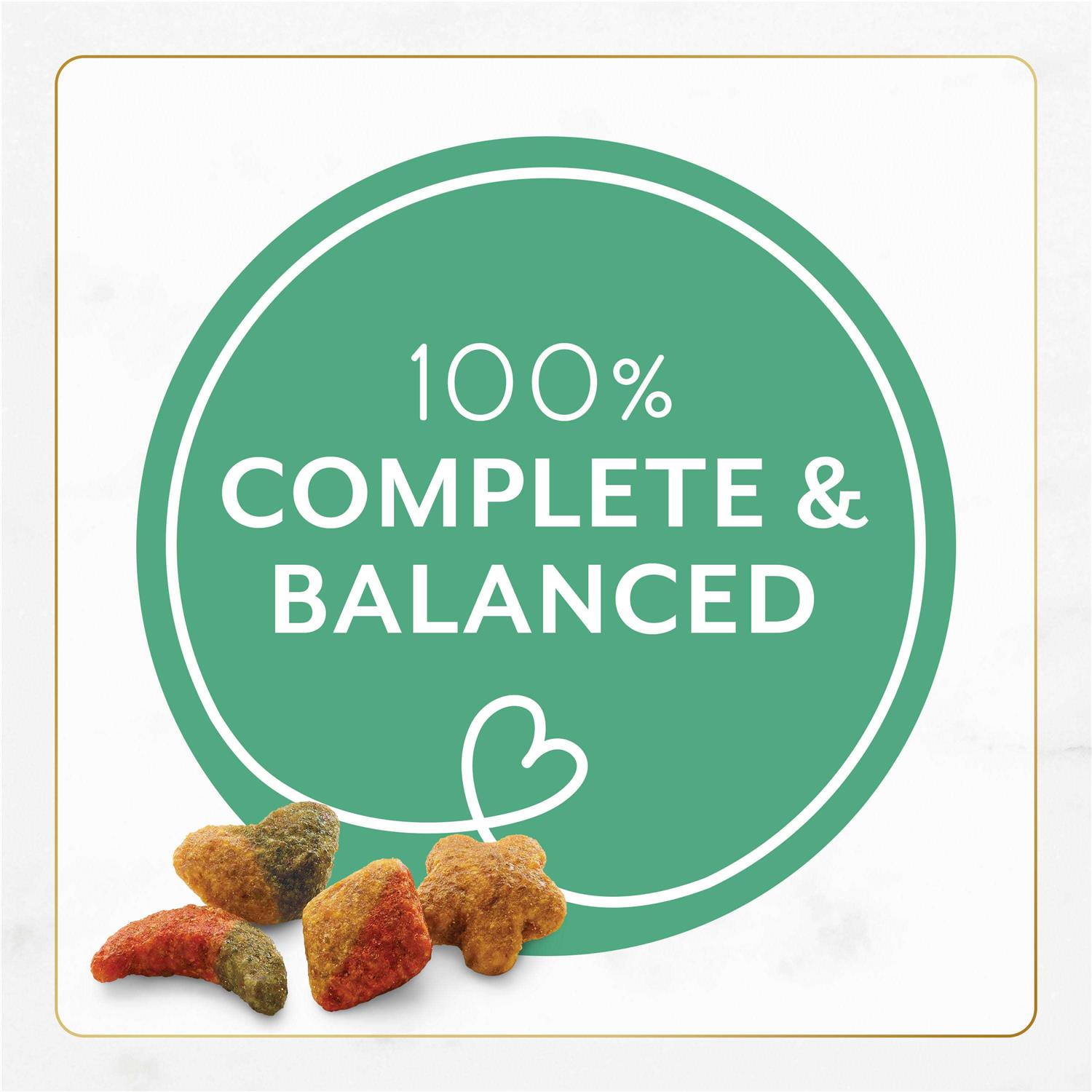 Fancy Feast Gourmet Ocean Fish and Salmon Dry Cat Food - Healthber