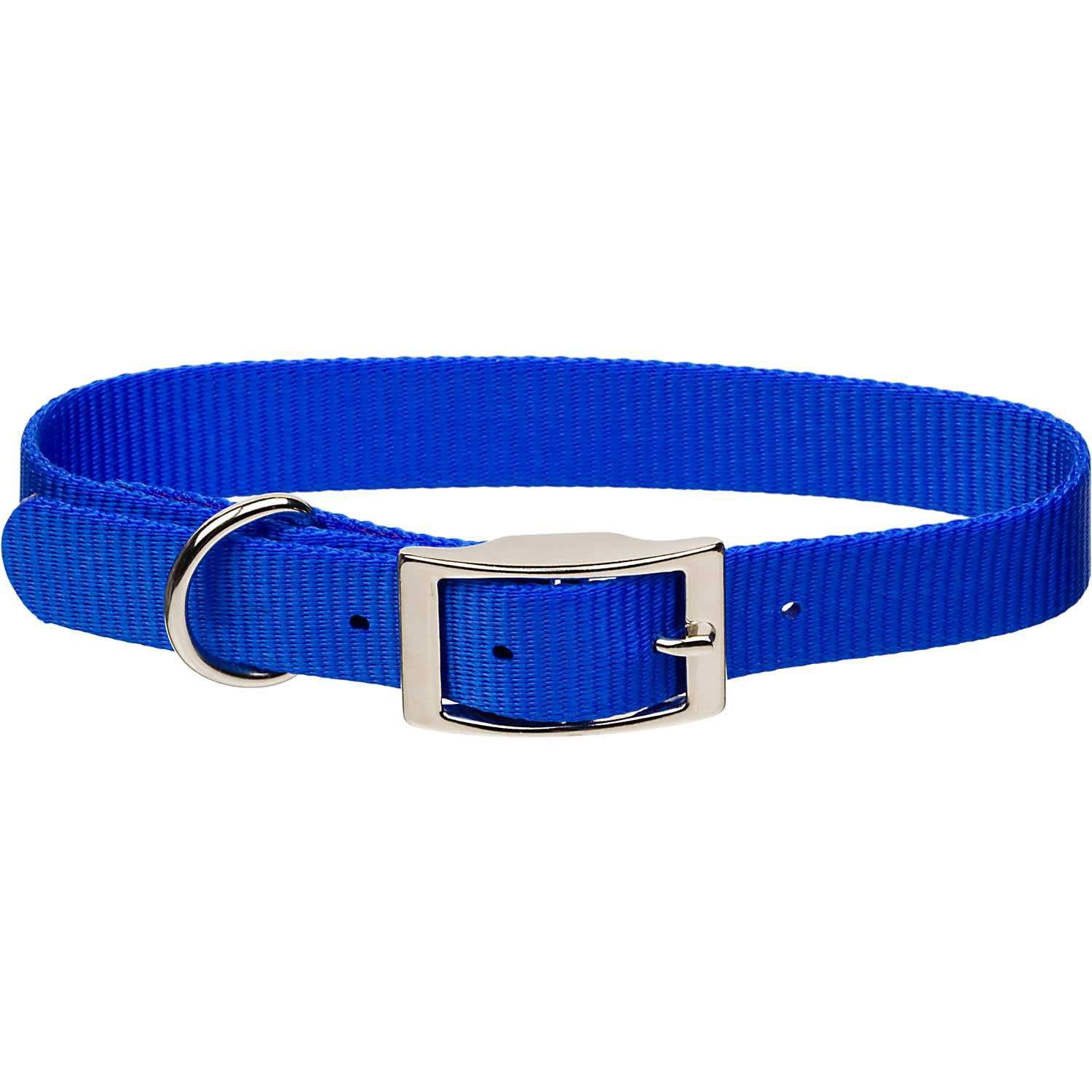 Coastal Nylon Pet Collar - Healthber