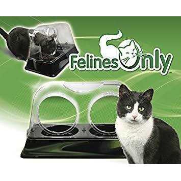 Felines Only the Purrrfect Cat Dish Veterinarian Designed Cat Feeding Bowl that Keeps Dogs Out of the Cat Food - Healthber