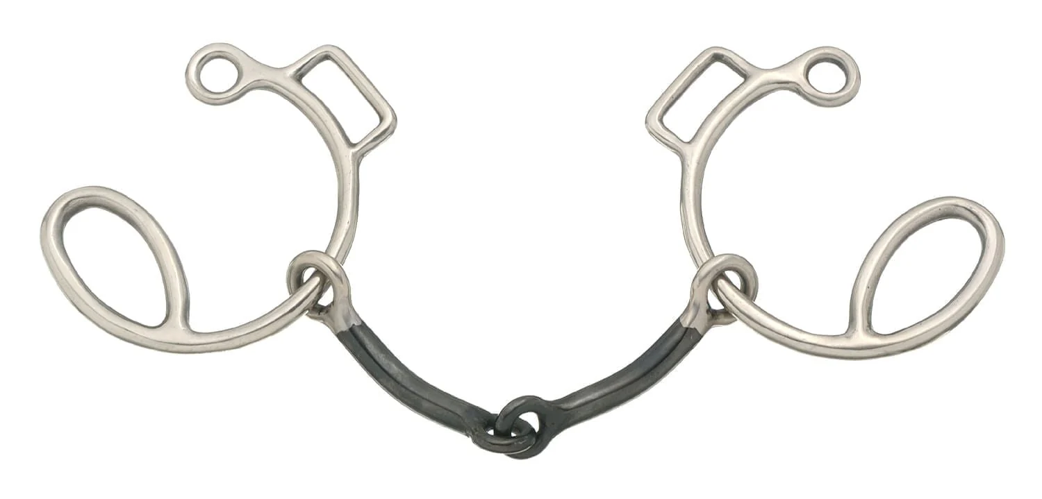 Sweet Iron Snaffle Six Cheek Gag - Healthber