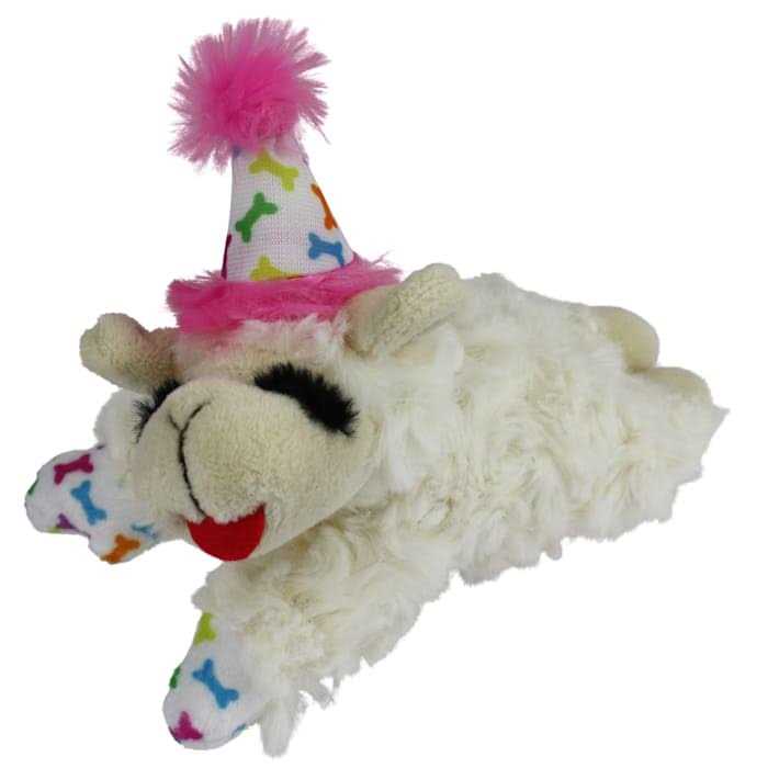 Multipet Happy Birthday Mini Lamb Chop Dog Toy - Healthber