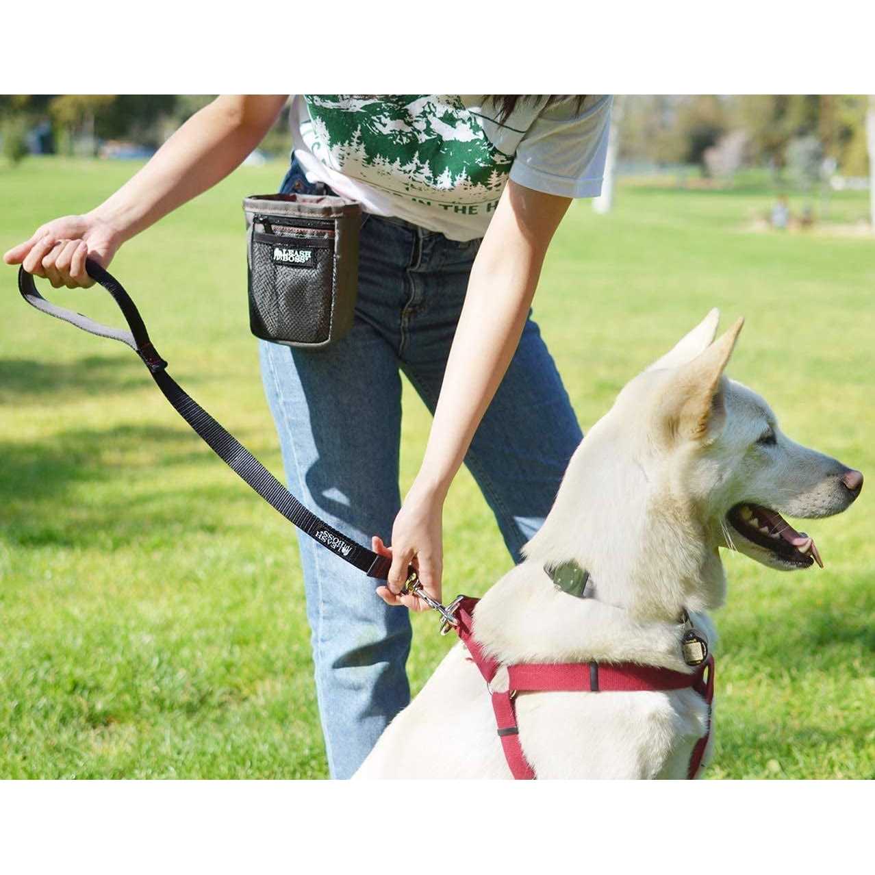 Leashboss Padded Handle Short Dog Leash - Healthber