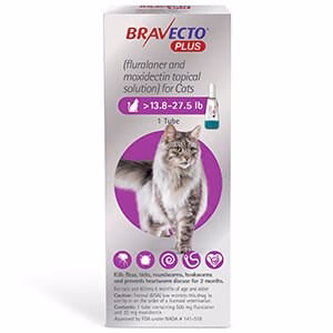 Rx BRAVECTO Plus Topical, Cat - Healthber