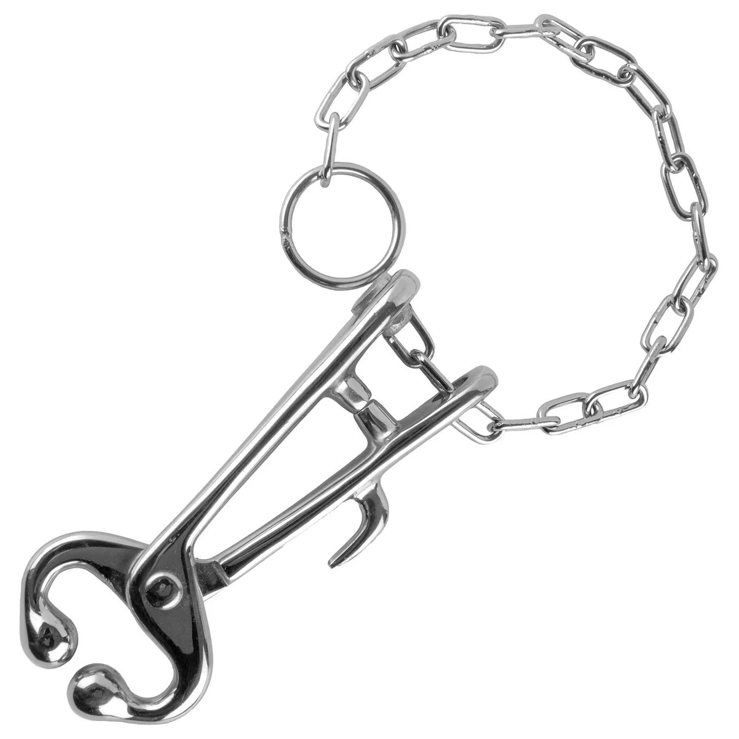 Bull Nose Lead (Cow Nose Pliers) with Chain - Healthber