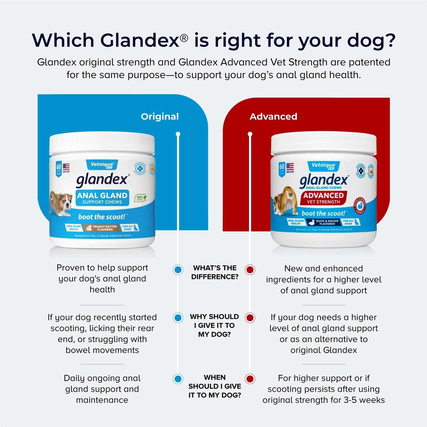 Glandex Advanced Strength Anal Gland Soft Chews for Dogs - Healthber