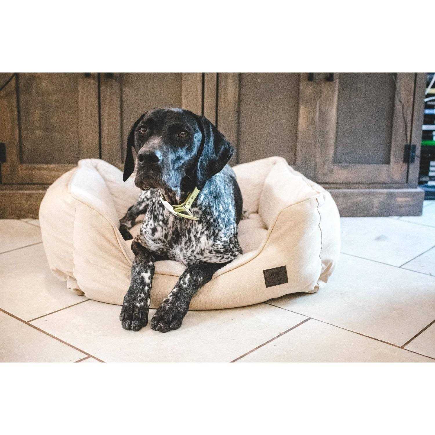 Tall Tails Dream Chaser Bolster Bed - Healthber