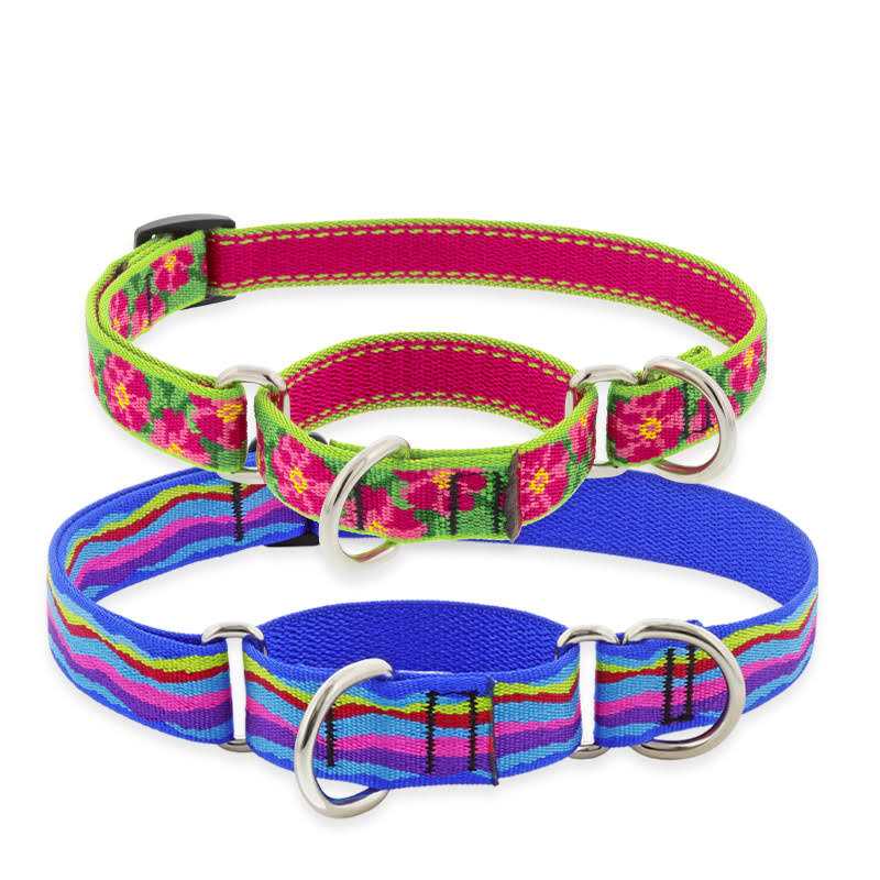 LupinePet Martingale Collar - Healthber