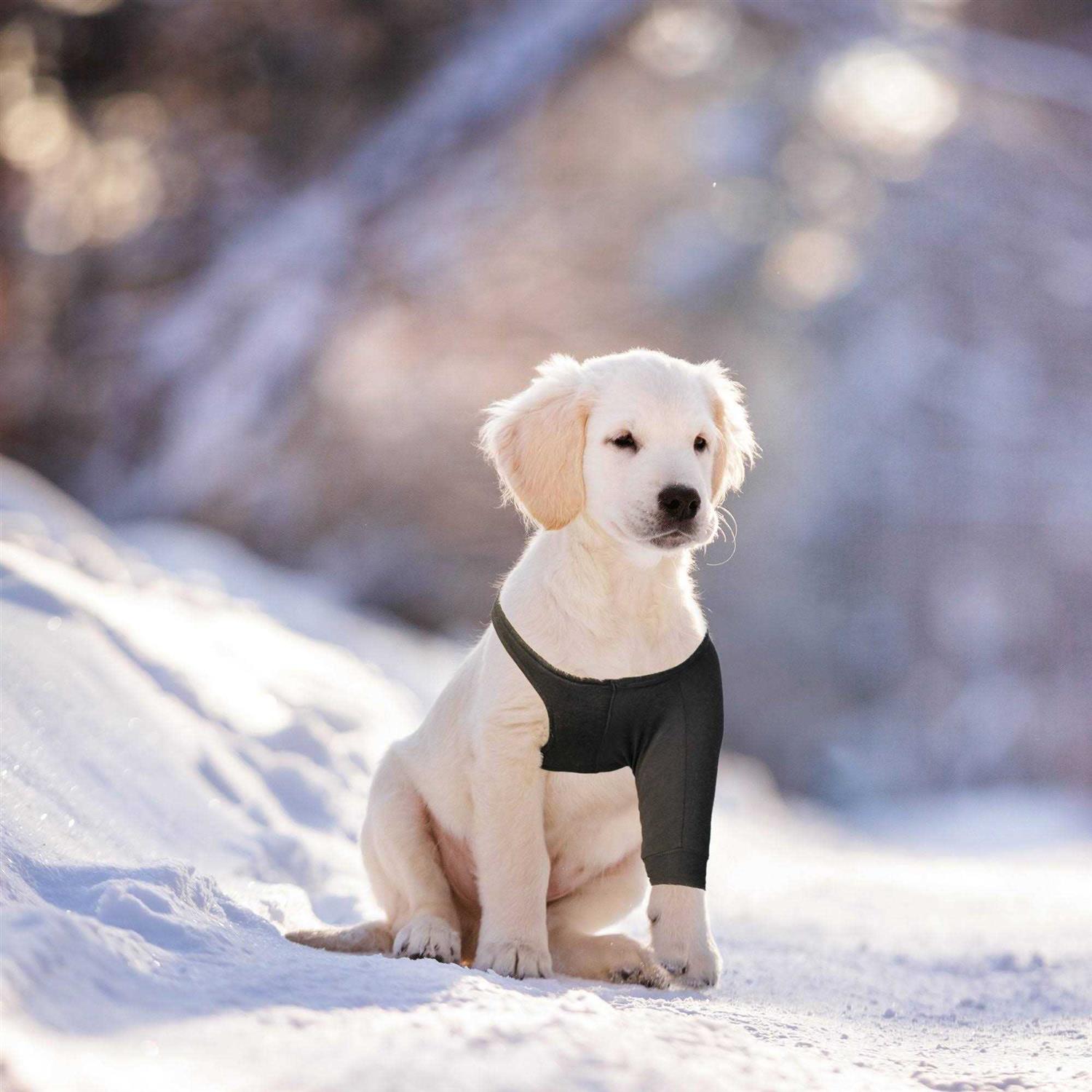 Suitical Dog Recovery Sleeve - Healthber