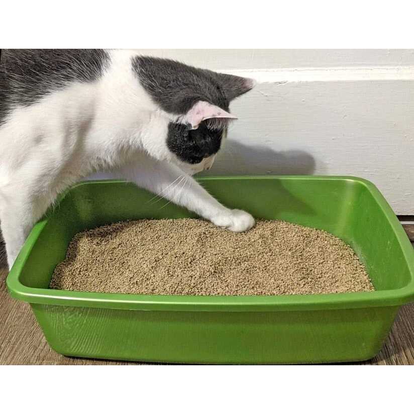 Dr. Bales One Source Clumping Cat Litter - Healthber
