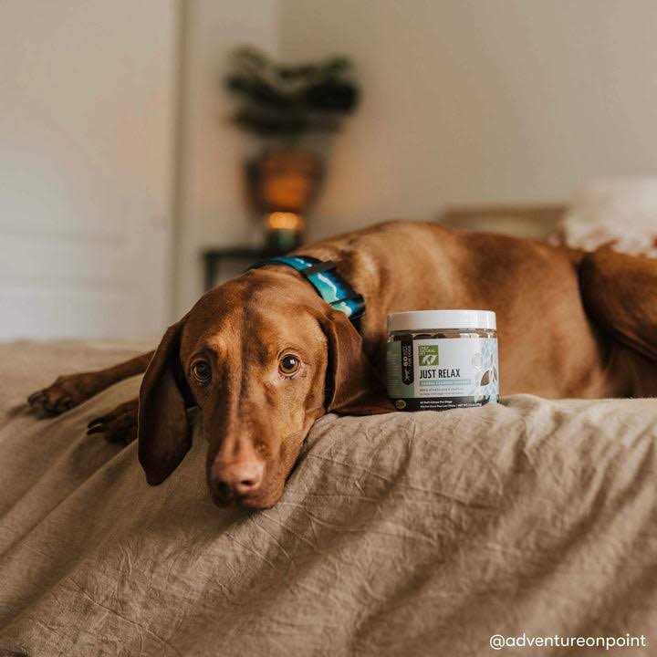 Only Natural Pet Just Relax Herbal Calming Soft Chews - Healthber