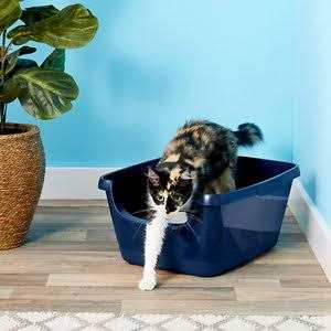 Frisco High Sided Cat Litter Box - Healthber